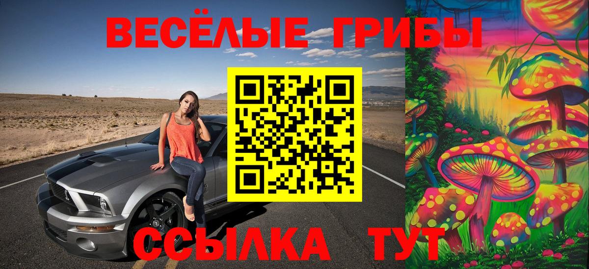 Мичуринск  Галлюциногенные грибы мицелий  Вход с VPN  Псилоцибиновые грибы мицелий 